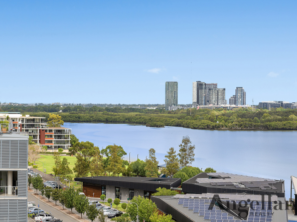 1001/36 Shoreline Drive Image 7